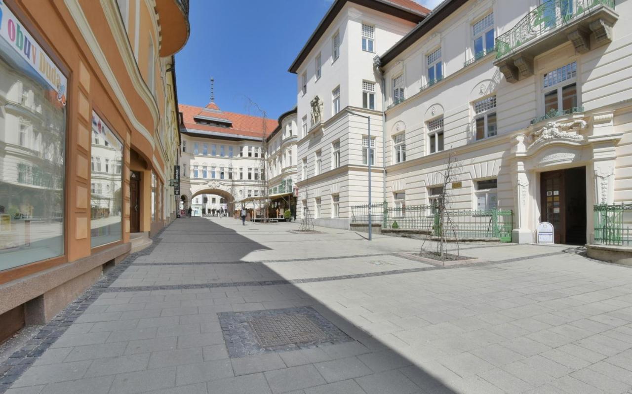 Big 75M2 Next To Opera Building In Direct Centrum, Air-Conditioned, Balcony, 24H Self Checking バンスカー・ビストリツァ エクステリア 写真